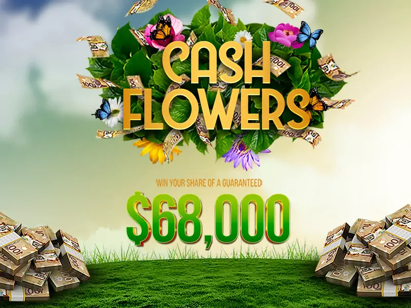 Slots May Cash Flowers